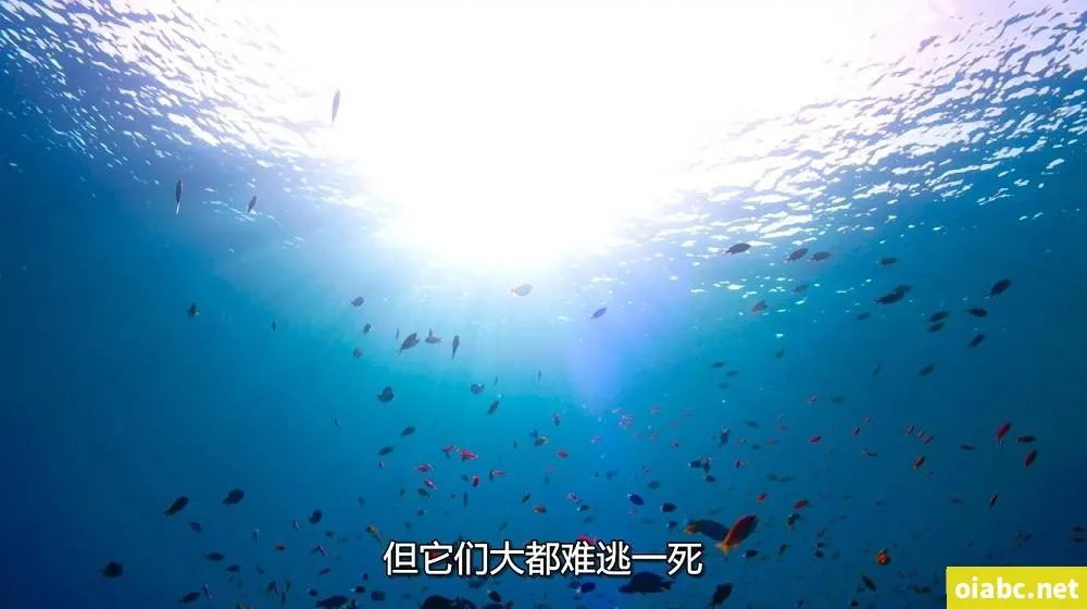 3721se剧照1